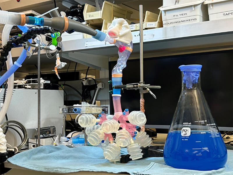 Simulated airways and lung model attached to mucus clearance device (left) and artificial mucus in a beaker (right).