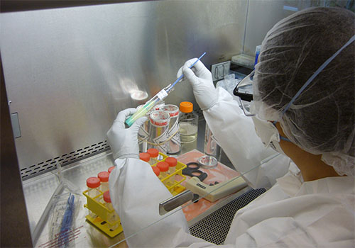 A researcher performs a test in a lab
