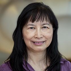 Carol H Miao, PhD 