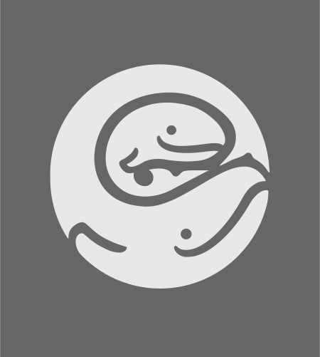 Seattle Concussion Research Collaborative (SCRC)