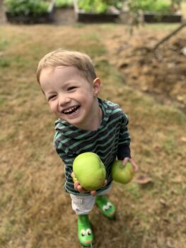 A little boy with a giant smile on his face holds up two green apples