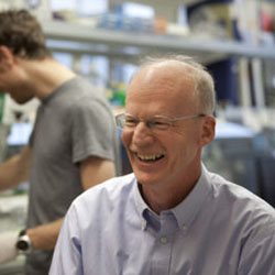 Dr. David Rawlings smiles while in his research lab at Seattle Children's
