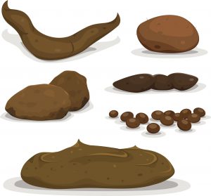 An illustration of various consistencies of poop