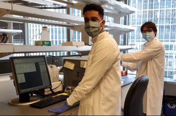 Members of the SEPS lab Edward Gniffke, and Stanford University undergraduate and summer intern, Kaleb Tsegay, use the newly developed assay to run an initial screen that could potentially identify drugs capable of preventing or treating COVID-19.