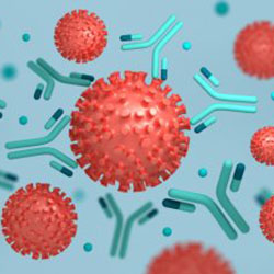 A newly developed cell-free test can rapidly detect COVID-19 neutralizing antibodies and could aid in vaccine testing and drug discovery efforts.