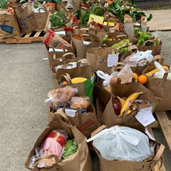 bags of groceries lined up