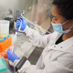 A summer scholars student conducts experiments at the lab bench
