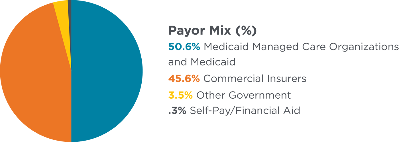 A pie chart illustrates the payor mix percentages.