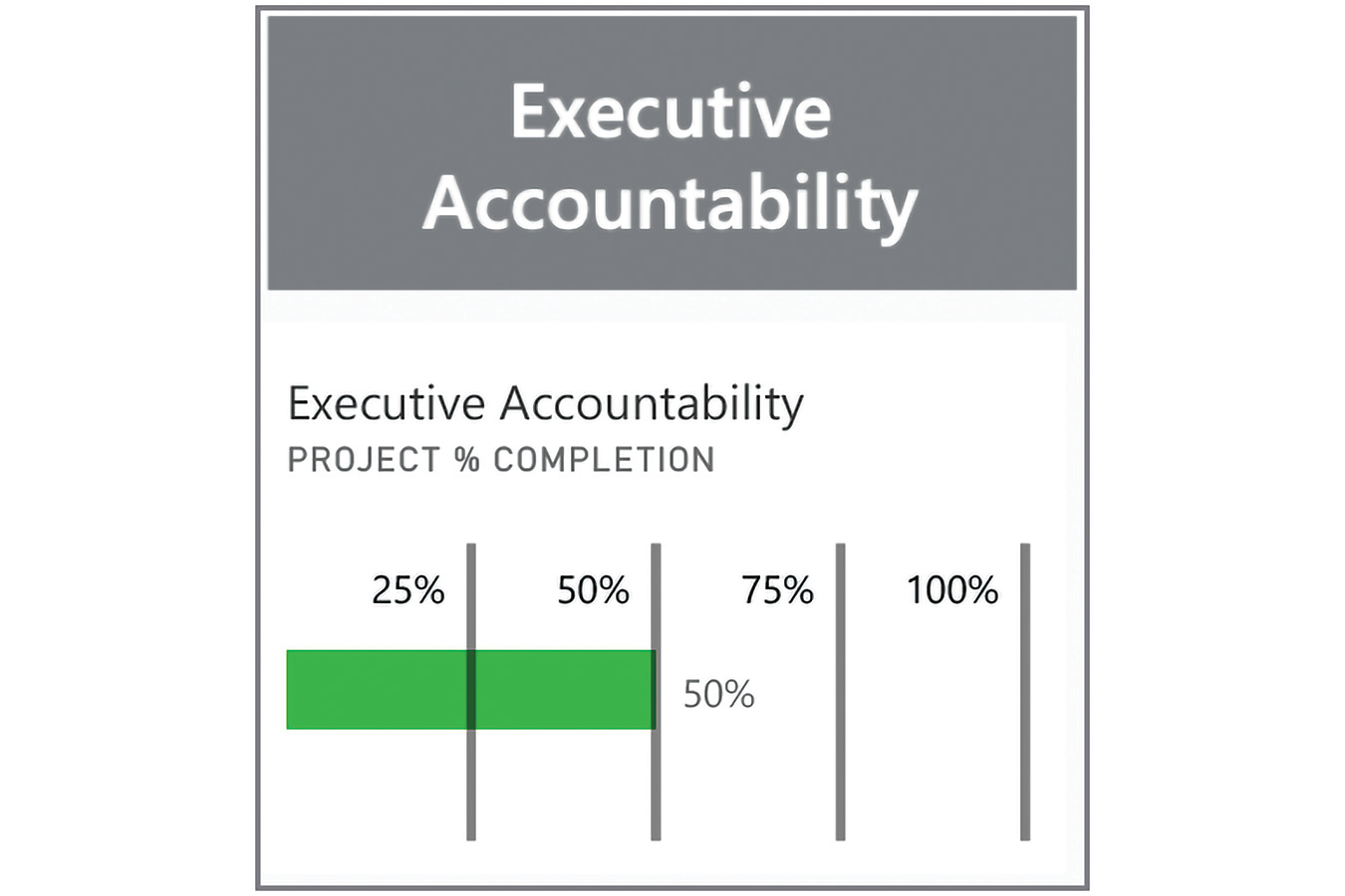 Executive accountability sits at 50% of project completion