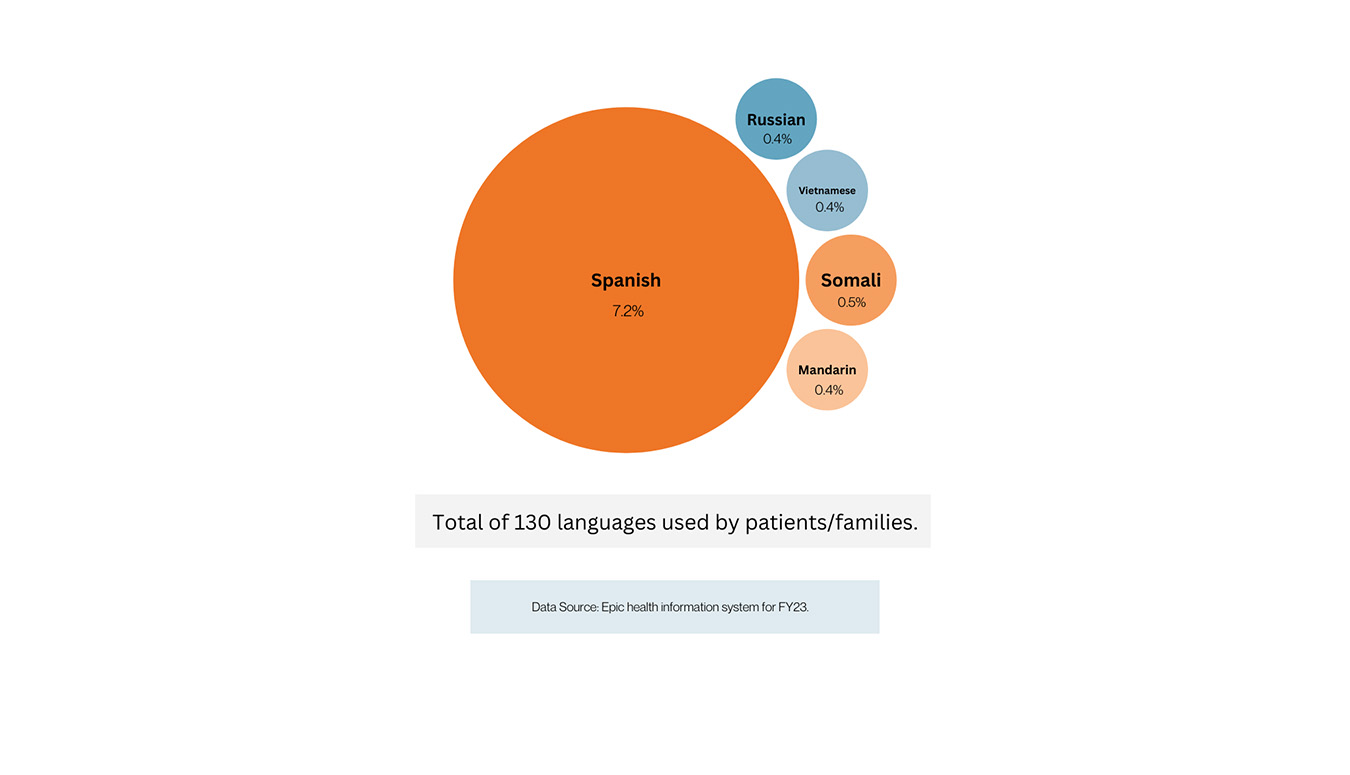 Top Five Languages Used by Patients/Families in FY23