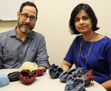 Staff with 3D-printed organs