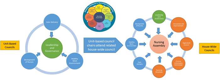 Nursing Councils Model