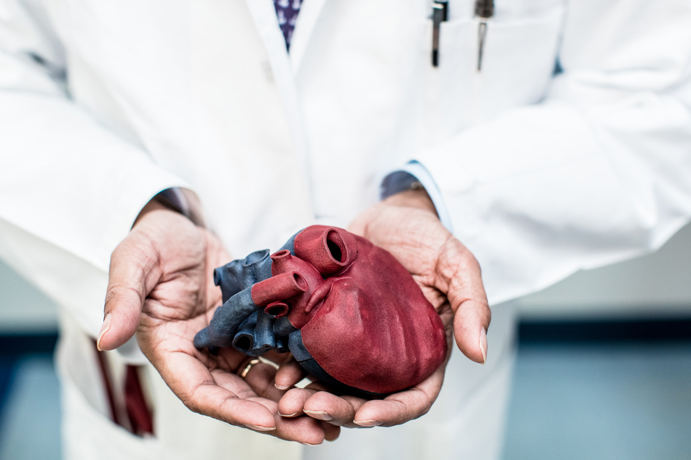 Doctor holding 3D model of heart
