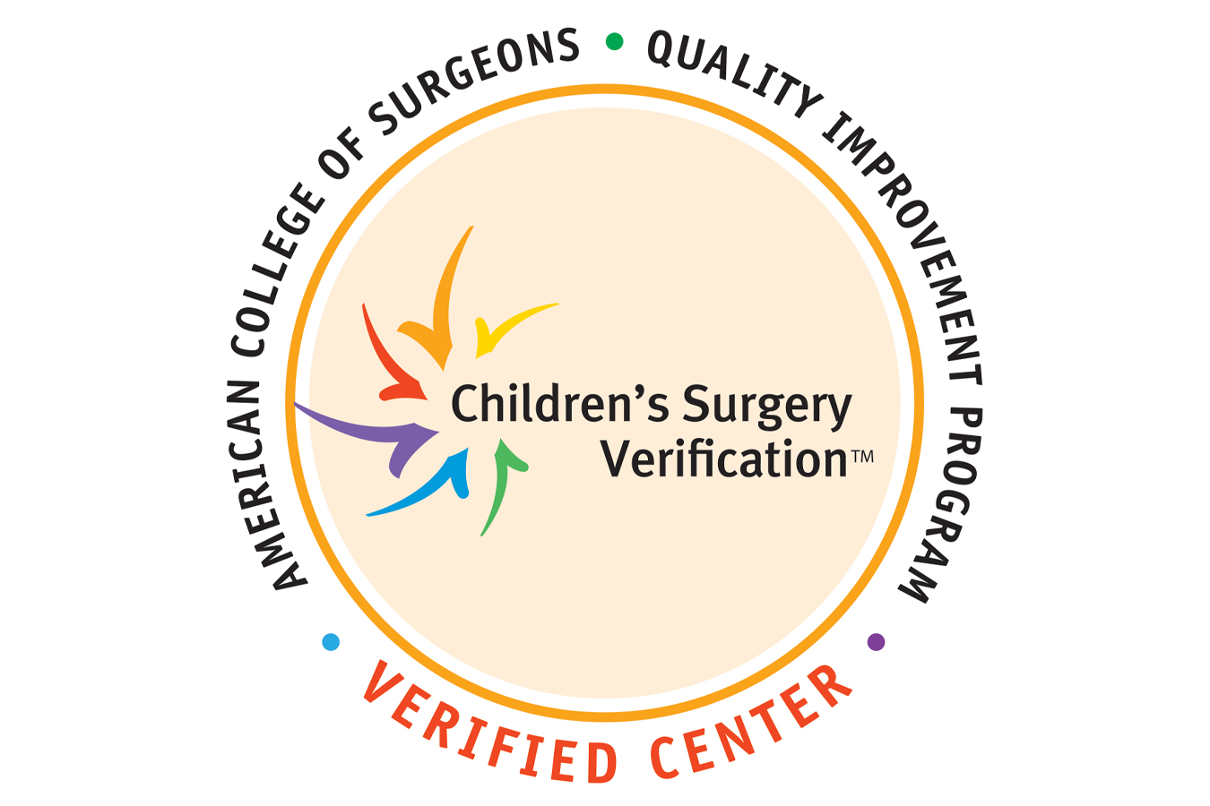 Children's Surgery Verification logo