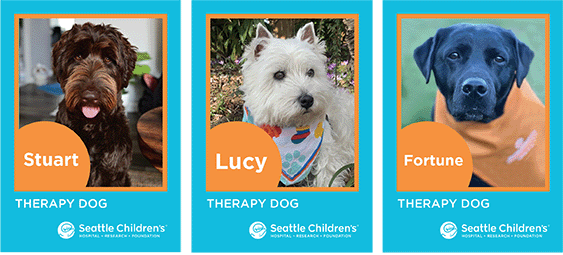 Seattle Children's therapy dogs