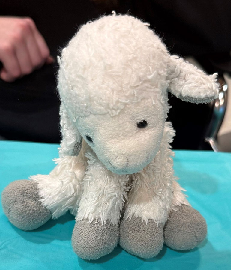 Thomas the Lamb