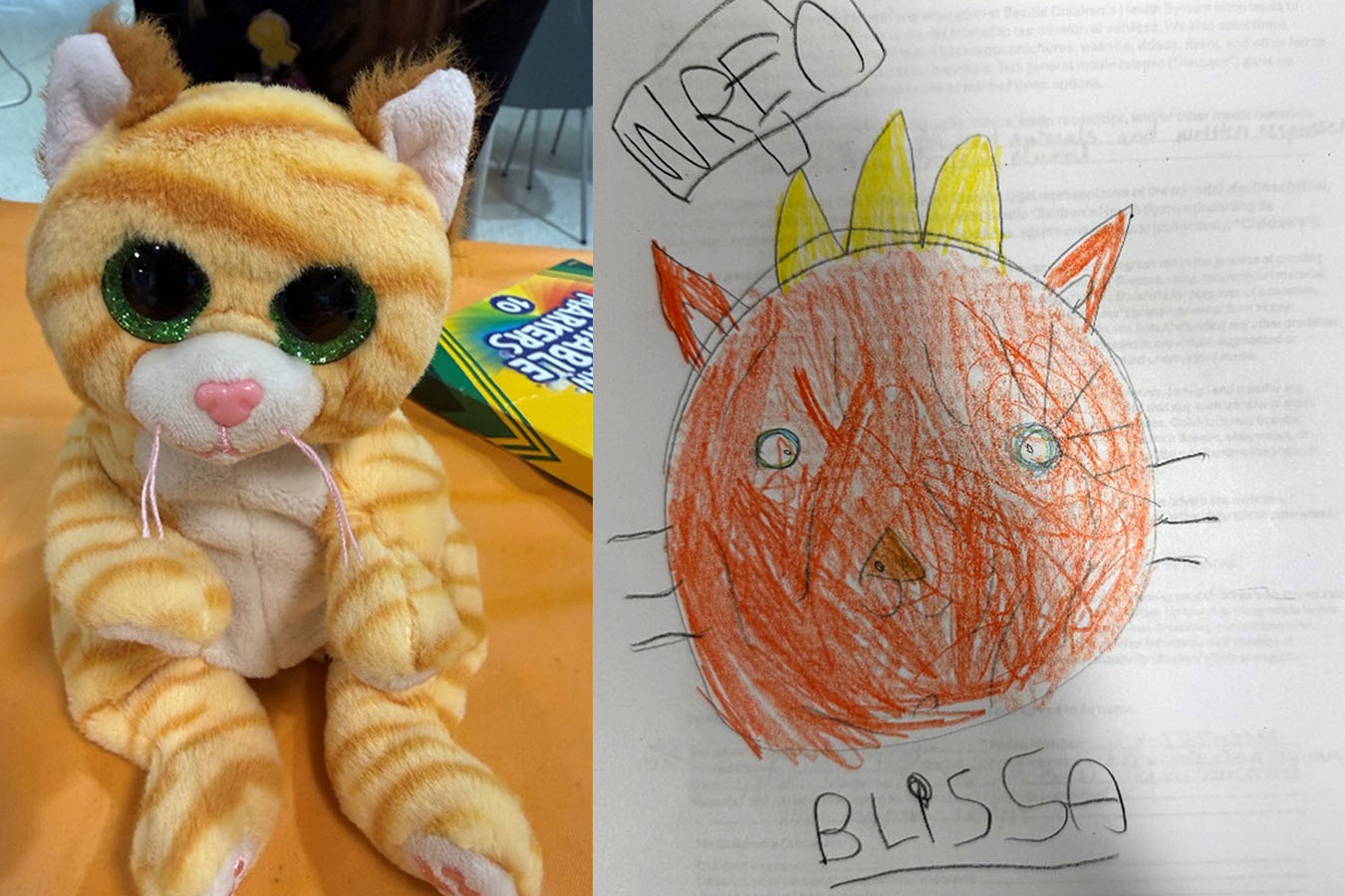 Blissa Cat