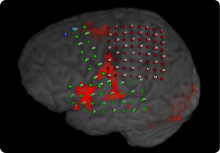 fMRI grid 220.jpg