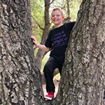 A boy climbs a tree