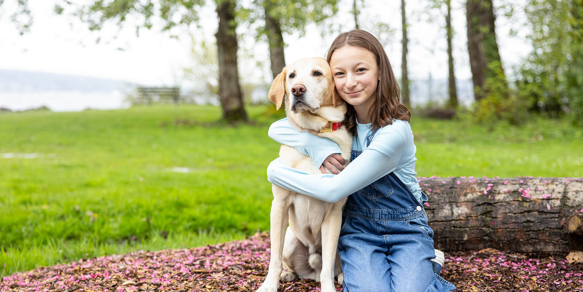 A smiling young girl in denim overalls hugs a yellow Labrador retriever outdoors in a grassy park.