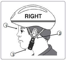 illustration of proper way to wear a bike helmet