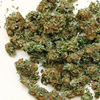 Marijuana Good Growing