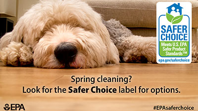 Dog laying on the floor with an example of the Safer Choice label