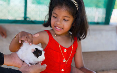 Girl petting a guinea pig