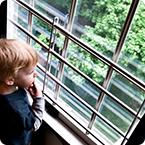 Window Good Growing Summer 2015 Window Good Growing Summer 2015