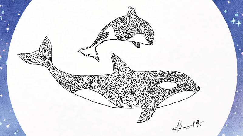 An illustration of two orcas