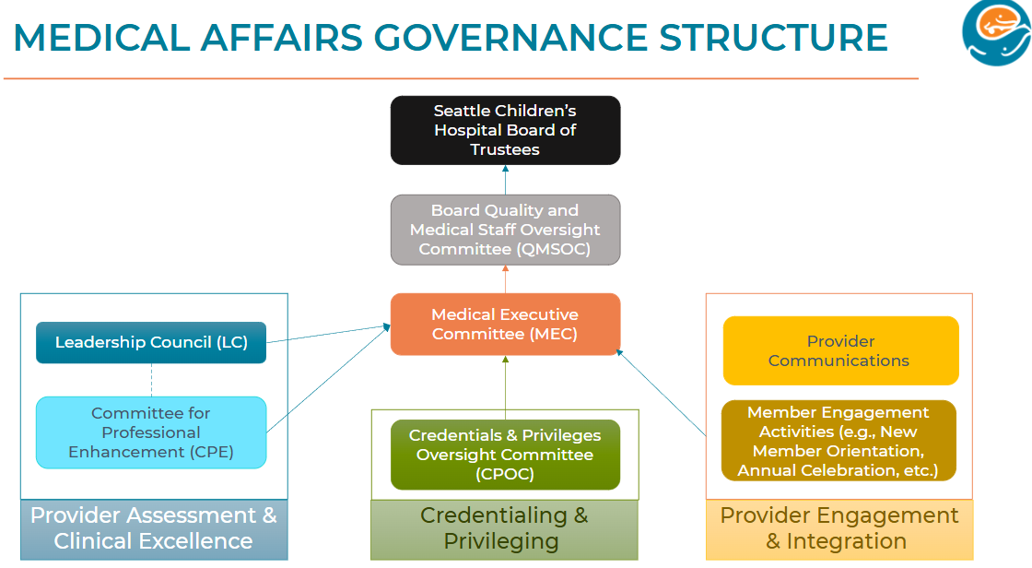 A chart showing the governance structure of medical affairs