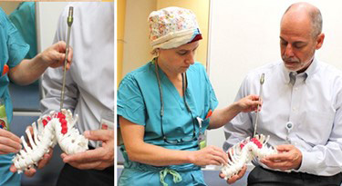 Doctors inspecting a spine model