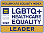 Leader in LGBT Healthcare Equality