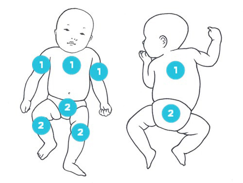 Diagram showing the parts of a baby to wipe