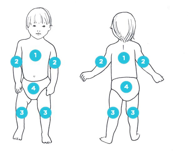 A diagram showing where to wipe a toddler
