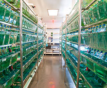 Aquatics facility Aquatics facility