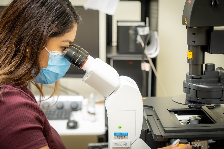 A researcher looks into a microscope.