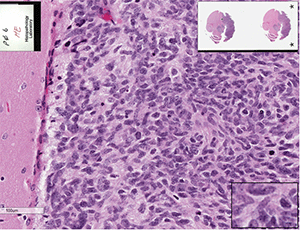 EPD-210FH cells