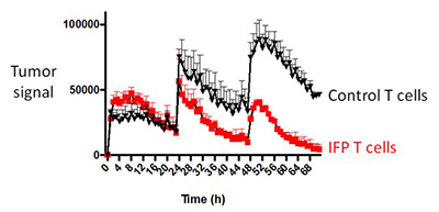 A line graph showing tumor signal intensity over time for two groups of T cells: “Control T cells” (black line) and “IFP T cells” (red line). The x-axis represents time in hours, ranging from 0 to 68. The y-axis represents tumor signal intensity, ranging from 0 to 100,000. The black line (Control) consistently shows higher tumor signal levels than the red line (IFP), though both lines fluctuate over time. The IFP T cells display a lower overall tumor signal, suggesting a potential therapeutic effect.
