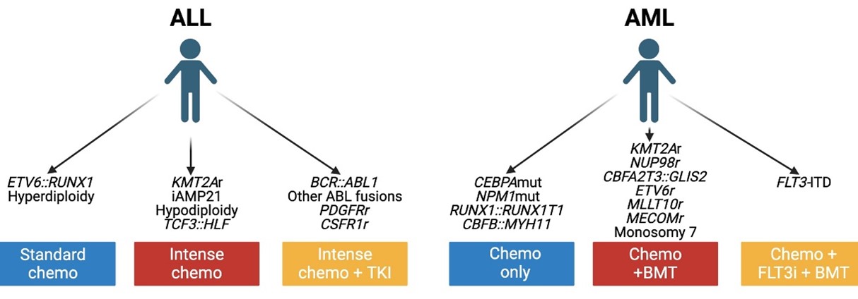 Figure 1: Current genomic risk stratification for leukemia patients.