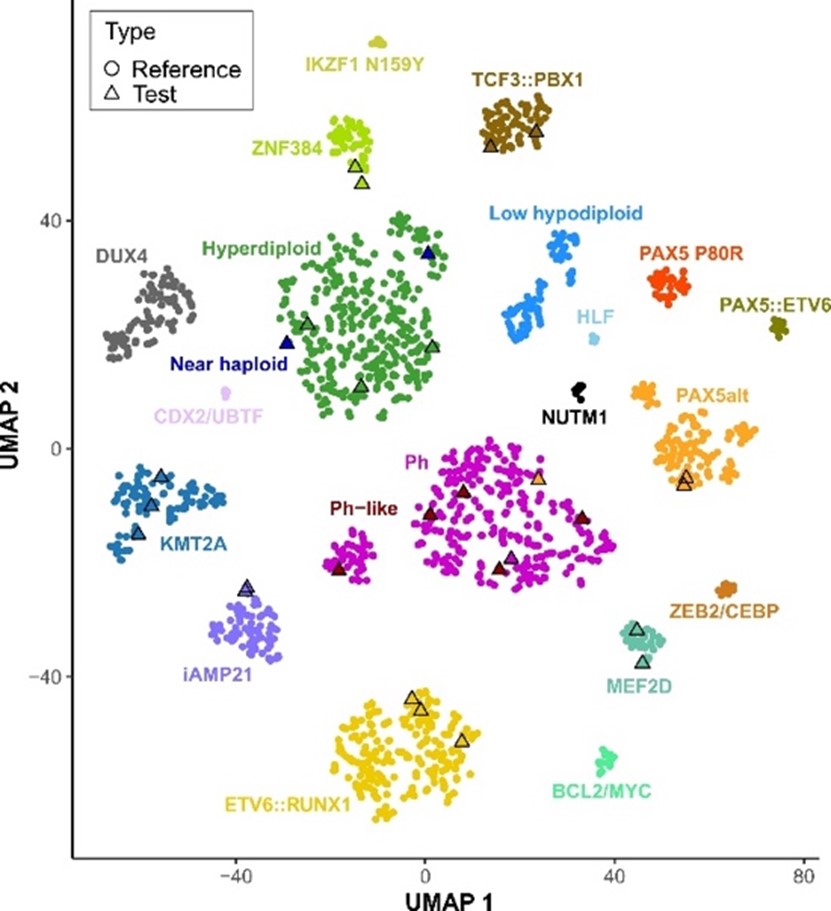 Figure 2: UMAP visualization of GEPs from 1,821 reference B-ALL samples (circles) and 28 test cases (triangles).