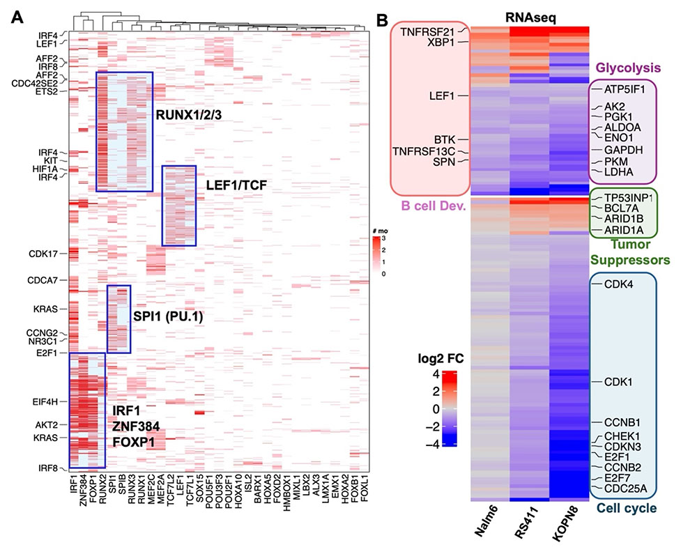A chart illustration the work of the Rau Lab
