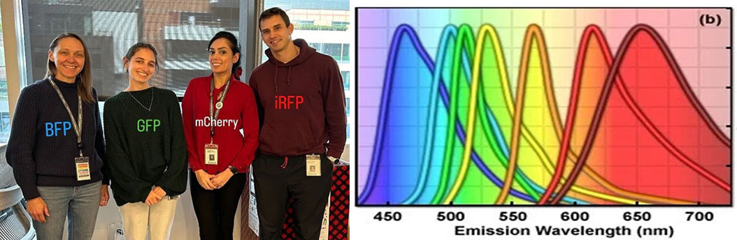 Rau Lab members pose for a picture (left); Emmission wavelength graph (right)