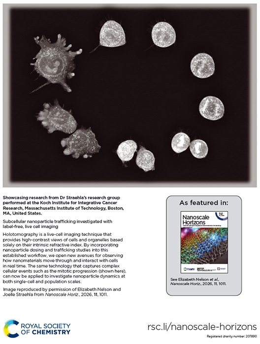 Cover of Nanoscale Horizons