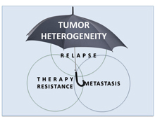 Tumor Heterogeneity