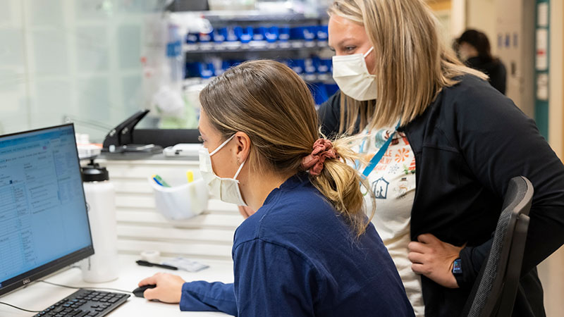 Two nurses at a computer