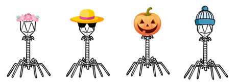 Illustration of mycobacteriophages in various hats
