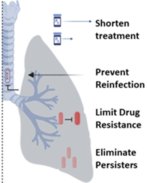 Illustration with a lung
