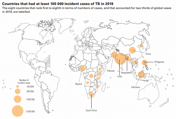 Map of countries that had at least 100,000 incident cases of tuberculosis in 2019, from the WHO