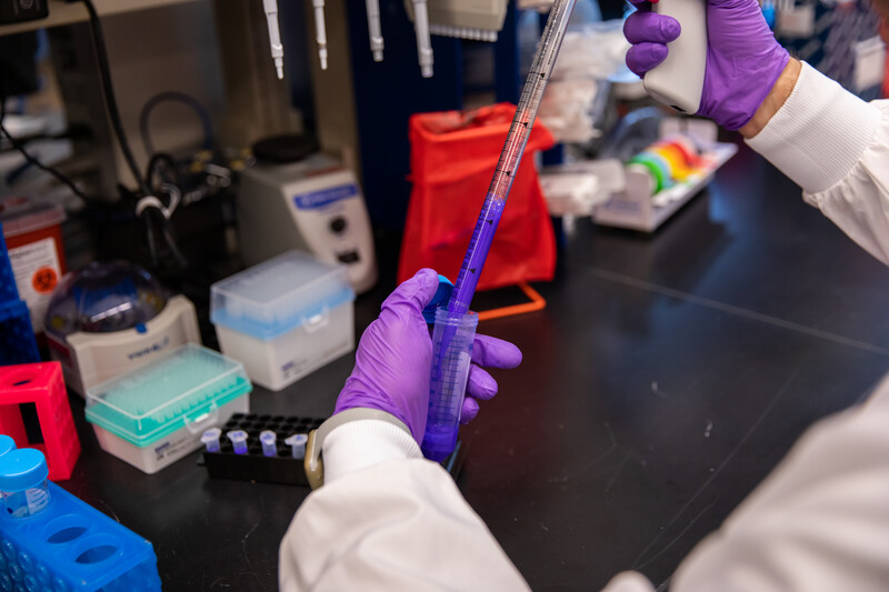 Gloved hands hold a vile at the Frenkle Lab